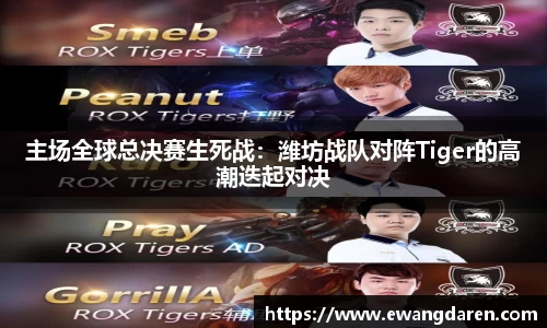 主场全球总决赛生死战：潍坊战队对阵Tiger的高潮迭起对决