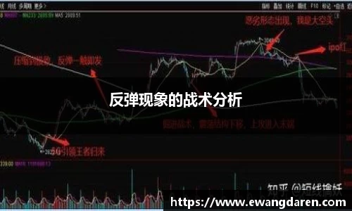 反弹现象的战术分析